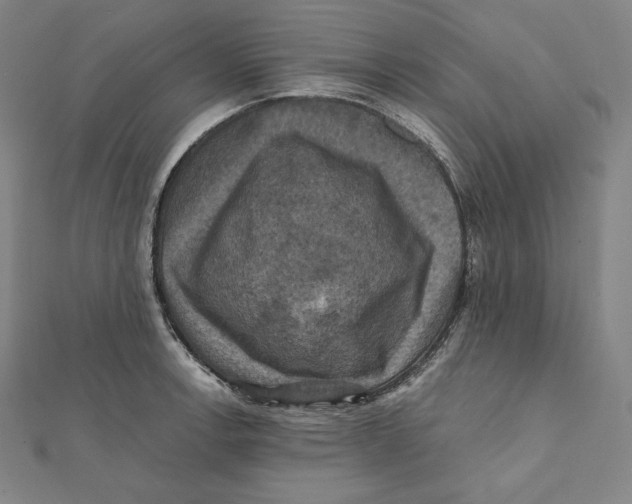 X0000112031138200908311210