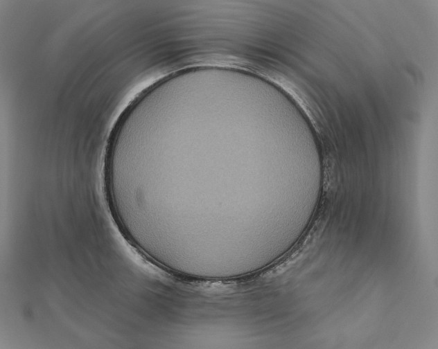 X0000112031139200908311210