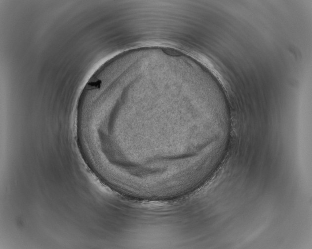 X0000112031140200908311210