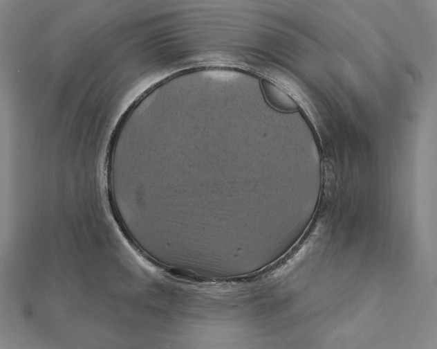 X0000112031141200908311210