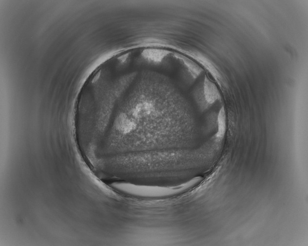 X0000112031142200908311210