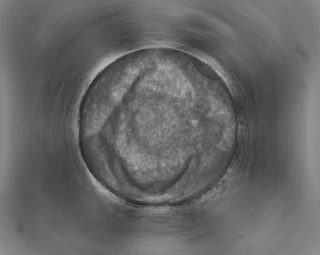 X0000112031143200908311210