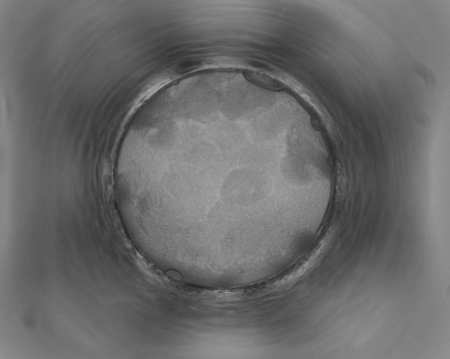 X0000112031145200908311210