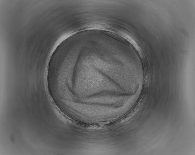 X0000112031146200908311210