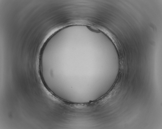 X0000112031147200908311210
