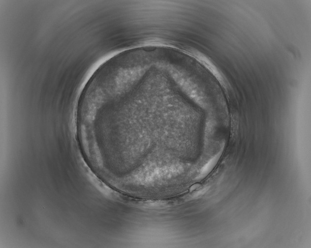 X0000112031148200908311210