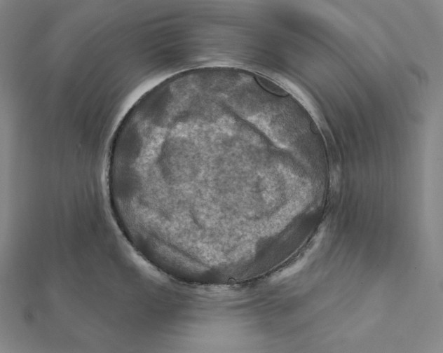 X0000112031149200908311210