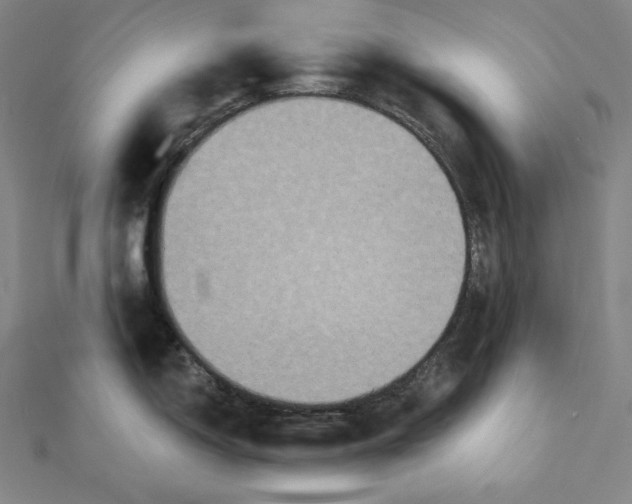 X0000112031150200908311210