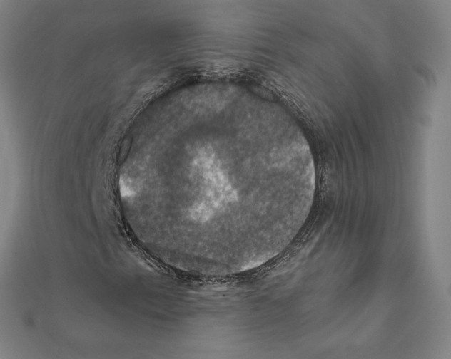 X0000112031153200908311209