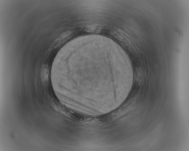 X0000112031154200908311209