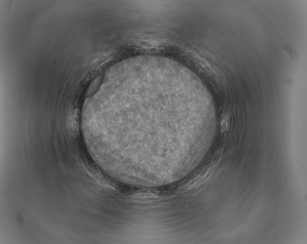 X0000112031156200908311209