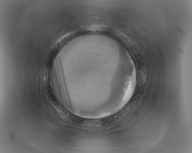 X0000112031158200908311209