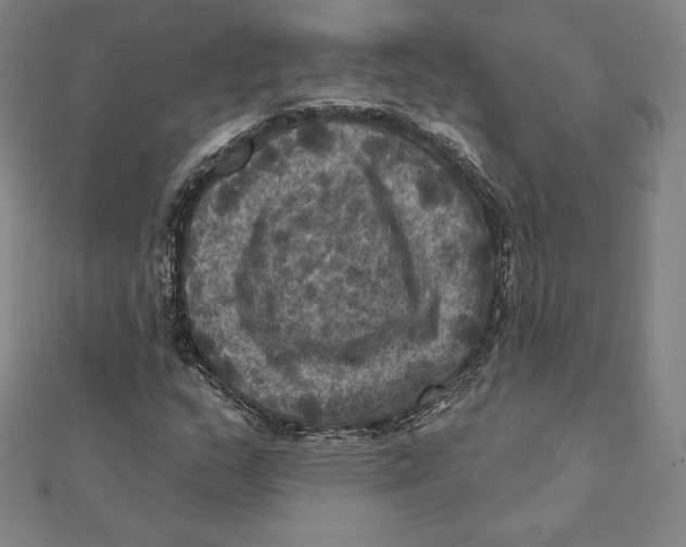 X0000112031159200908311209