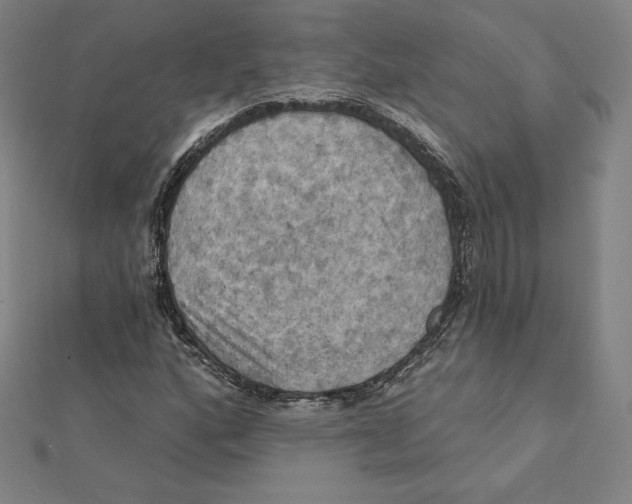 X0000112031160200908311209