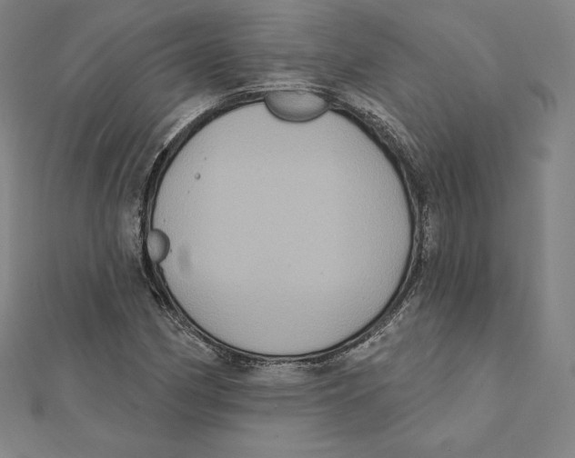 X0000112031162200908311209