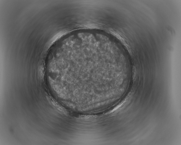 X0000112031163200908311209