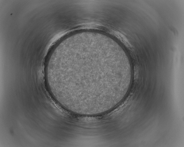 X0000112031164200908311209