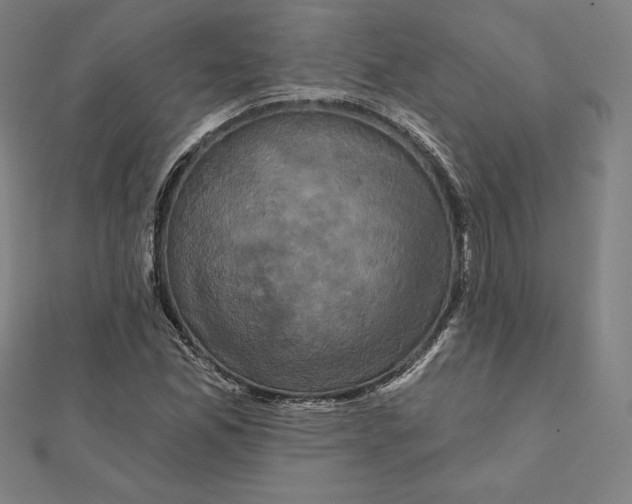 X0000112031165200908311209