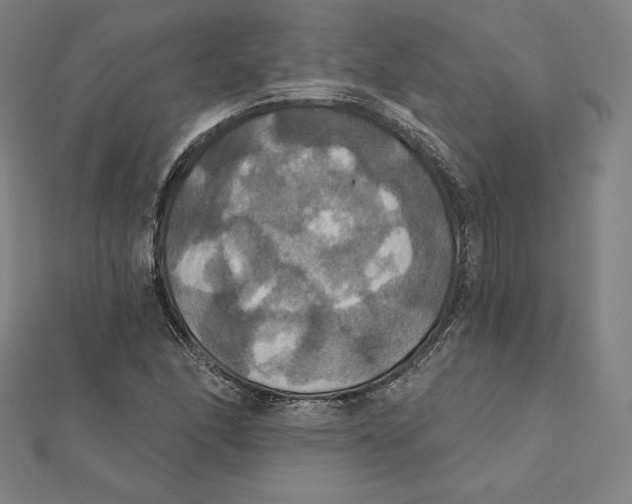 X0000112031166200908311209