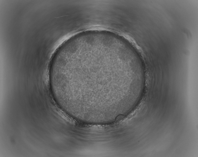 X0000112031167200908311209