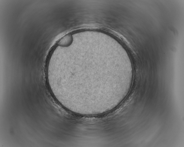 X0000112031168200908311209