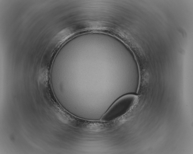 X0000112031169200908311209