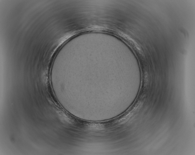 X0000112031170200908311209