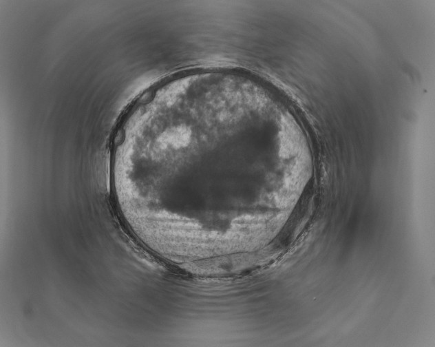 X0000112031171200908311209