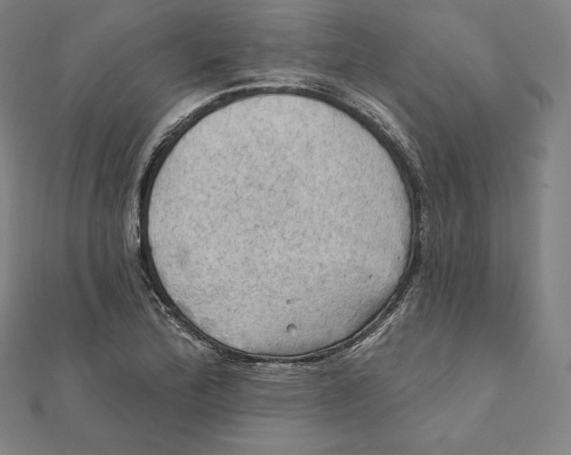 X0000112031172200908311209