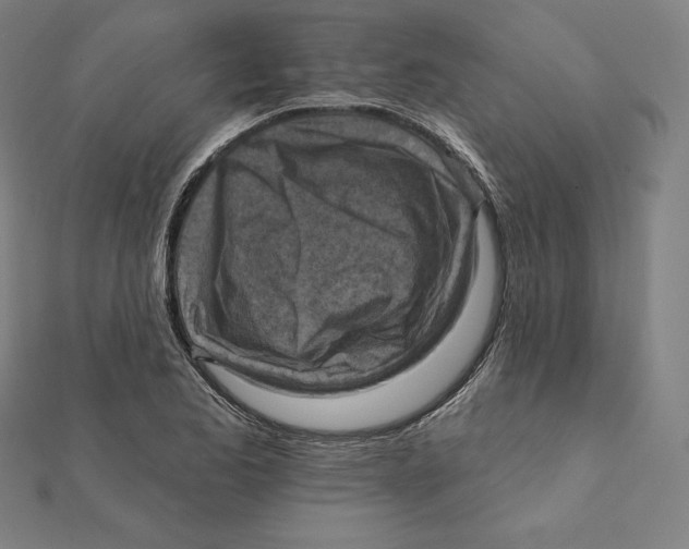 X0000112031173200908311209