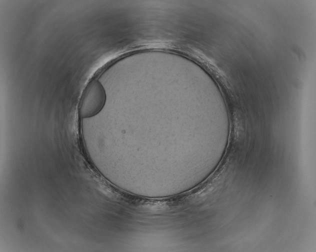 X0000112031174200908311209