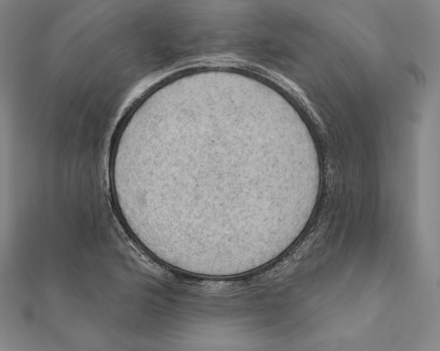 X0000112031176200908311209