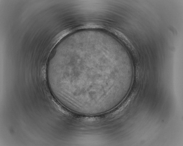 X0000112031177200908311209