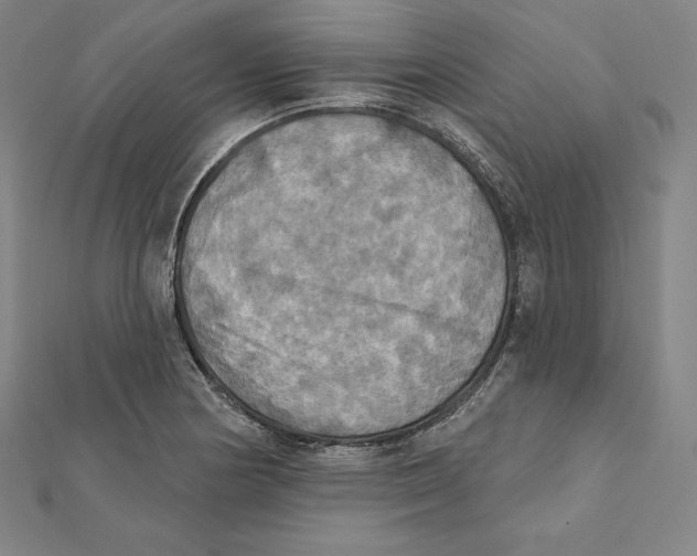 X0000112031178200908311209