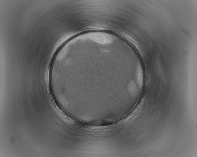 X0000112031179200908311209