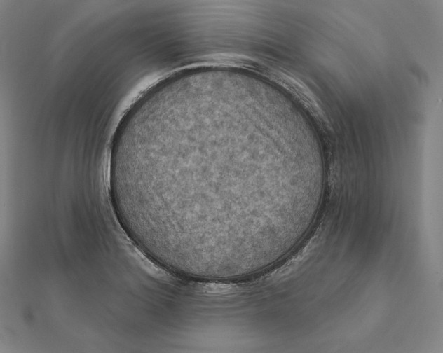 X0000112031180200908311209