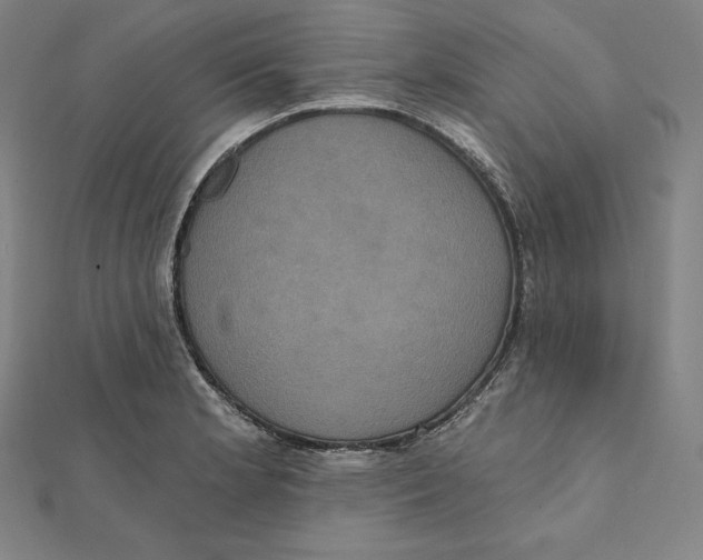 X0000112031181200908311209