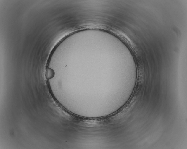 X0000112031182200908311209