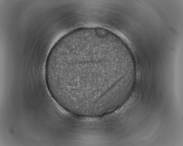 X0000112031183200908311209