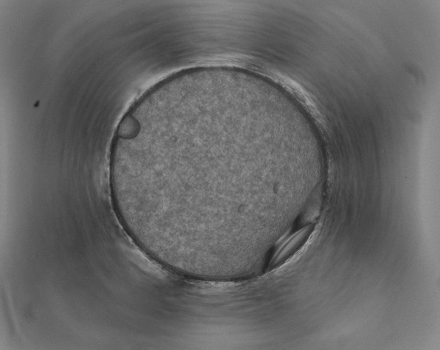 X0000112031184200908311209