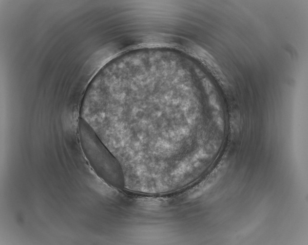 X0000112031185200908311209