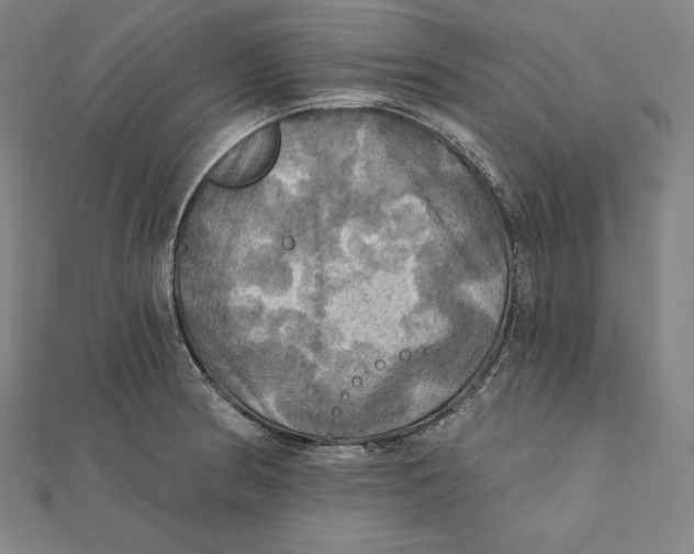 X0000112031186200908311209