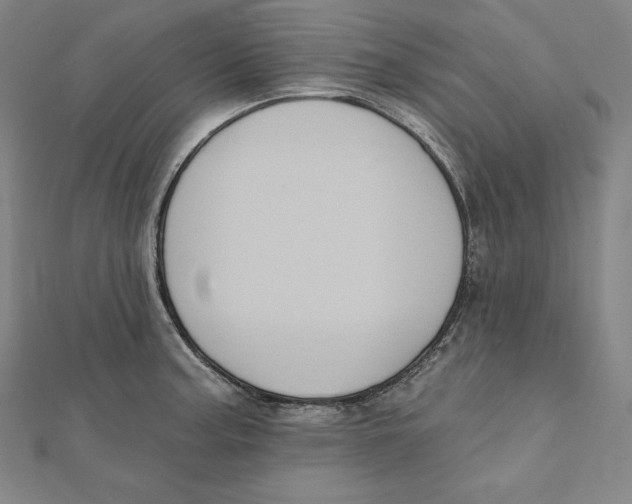 X0000112031187200908311209