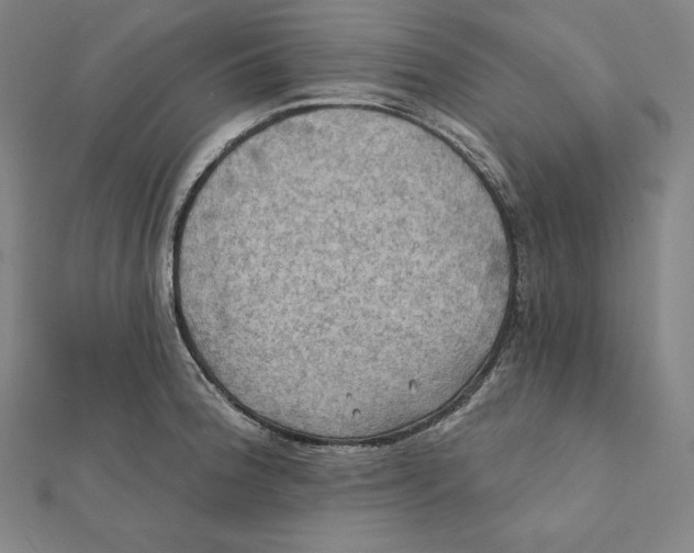 X0000112031188200908311209