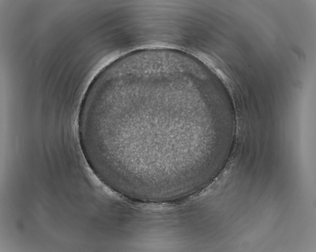 X0000112031189200908311209