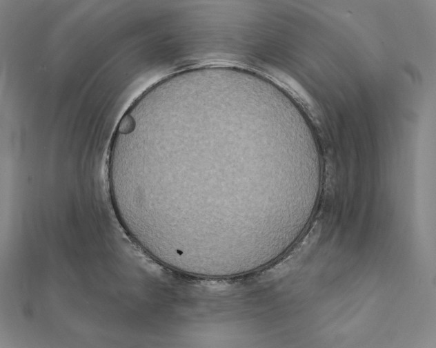 X0000112031190200908311209