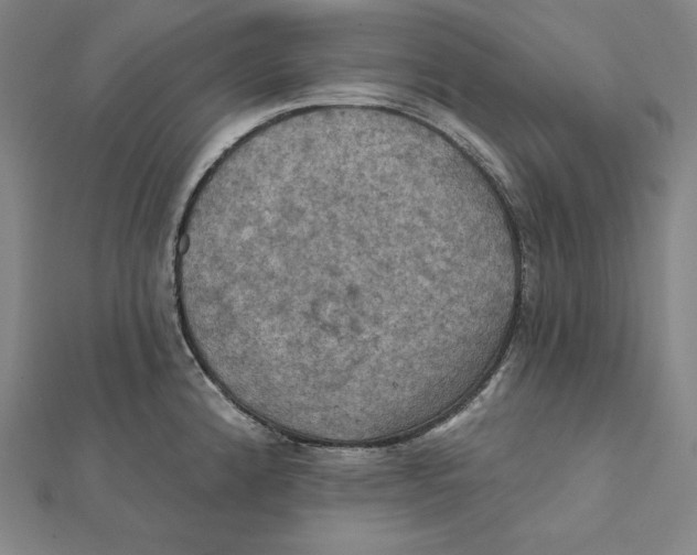 X0000112031192200908311209