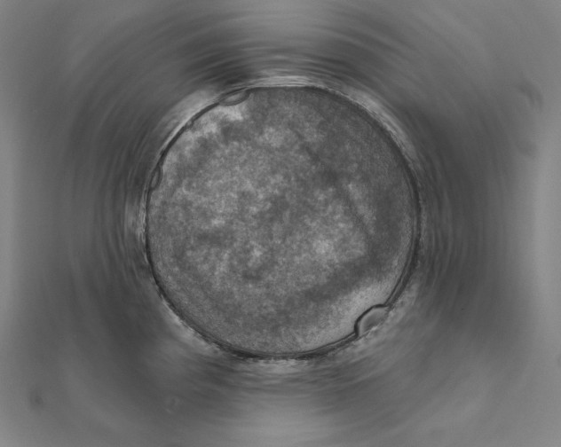 X0000112031193200908311209