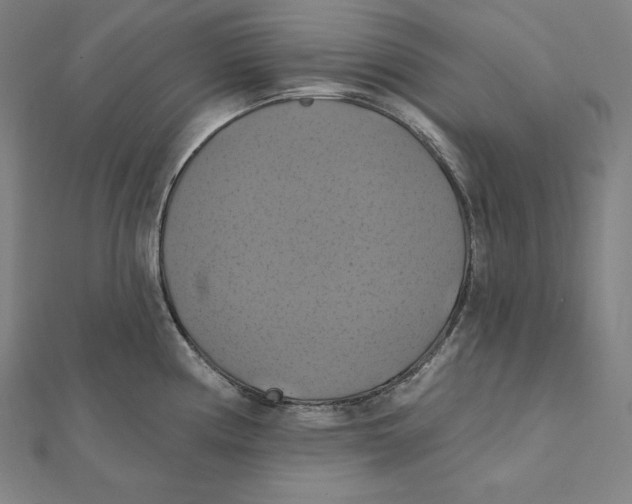 X0000112031194200908311209