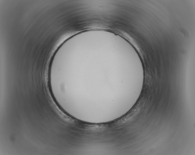 X0000112031195200908311209